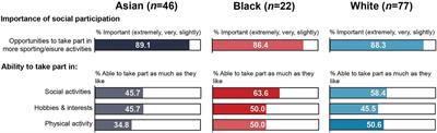 Social functioning in adults with visual impairment from minority ethnic communities in the United Kingdom